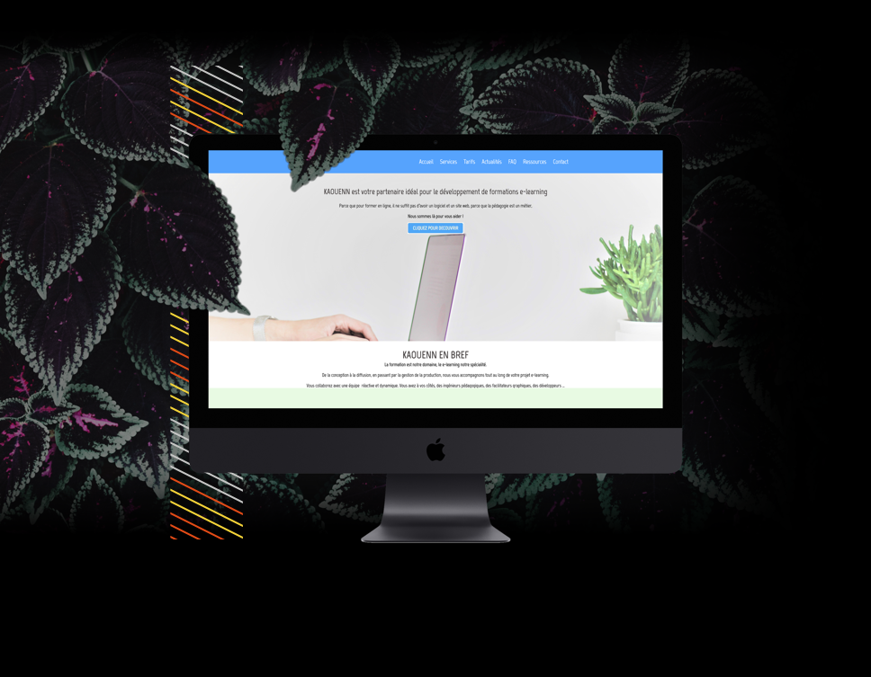 Image du projet Un site vitrine pour Kaouenn
